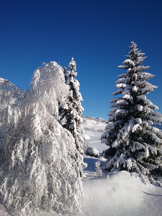 Hotel Gravas Lodge - Das Hotel Fuer Gaeste Mit Hund Vella Exteriör bild